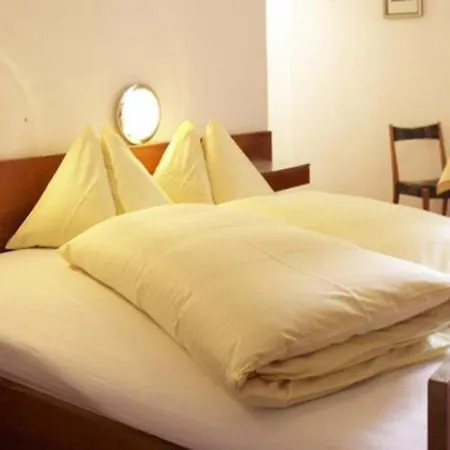 Hotel Goldener Loewe 3*